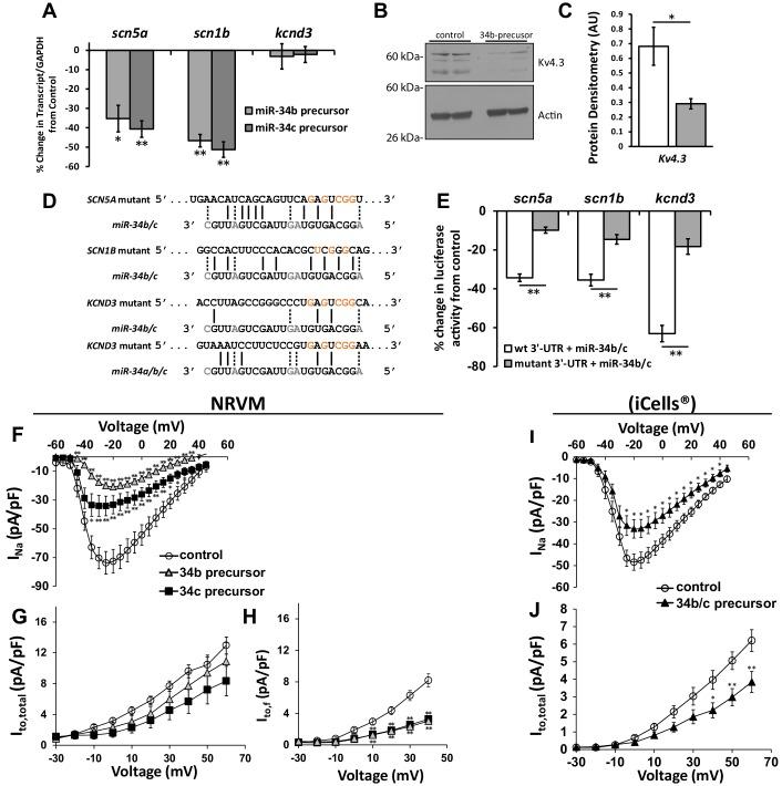https://cdn.ncbi.nlm.nih.gov/pmc/blobs/ff26/5338919/faf28cf3e45b/elife-17304-fig3.jpg