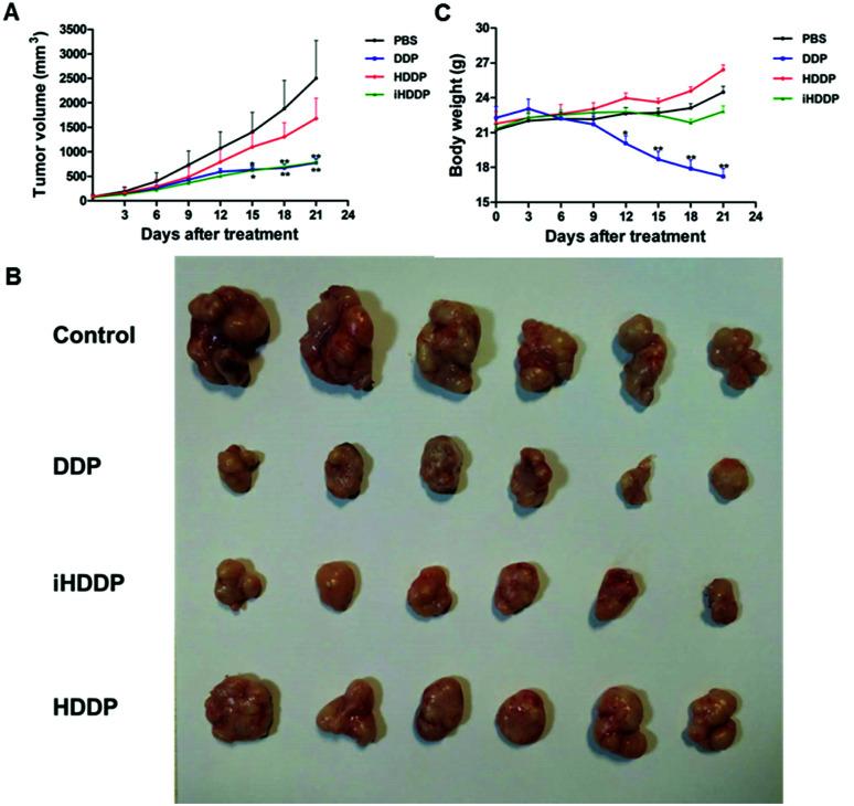 https://cdn.ncbi.nlm.nih.gov/pmc/blobs/ff29/9085286/5ad5ddf49571/c8ra05071f-f5.jpg