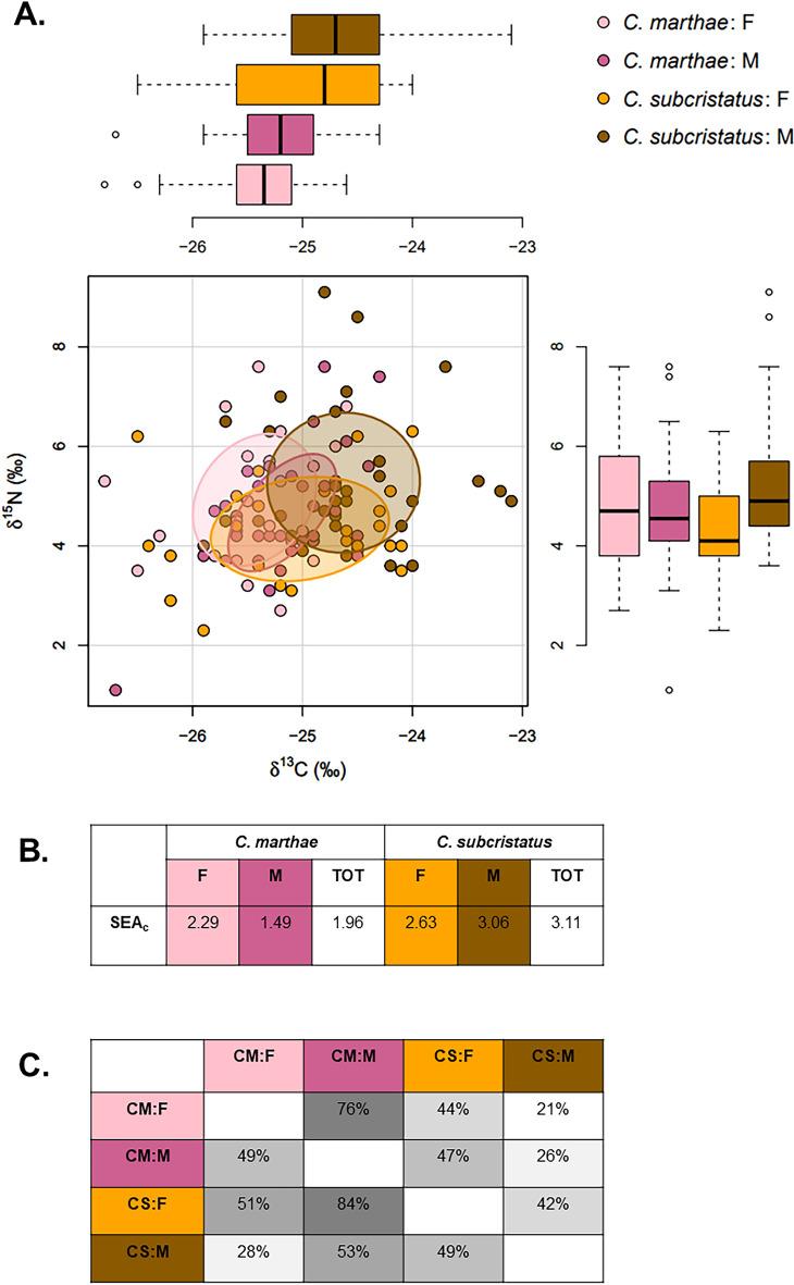 https://cdn.ncbi.nlm.nih.gov/pmc/blobs/ff29/9546867/cdbaaaf68eaf/41598_2022_21134_Fig1_HTML.jpg