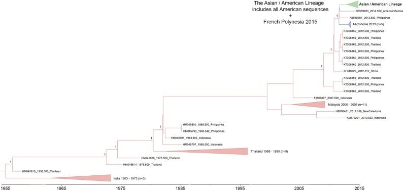 https://cdn.ncbi.nlm.nih.gov/pmc/blobs/ff2a/5413804/c22f3357072a/vex010f1.jpg