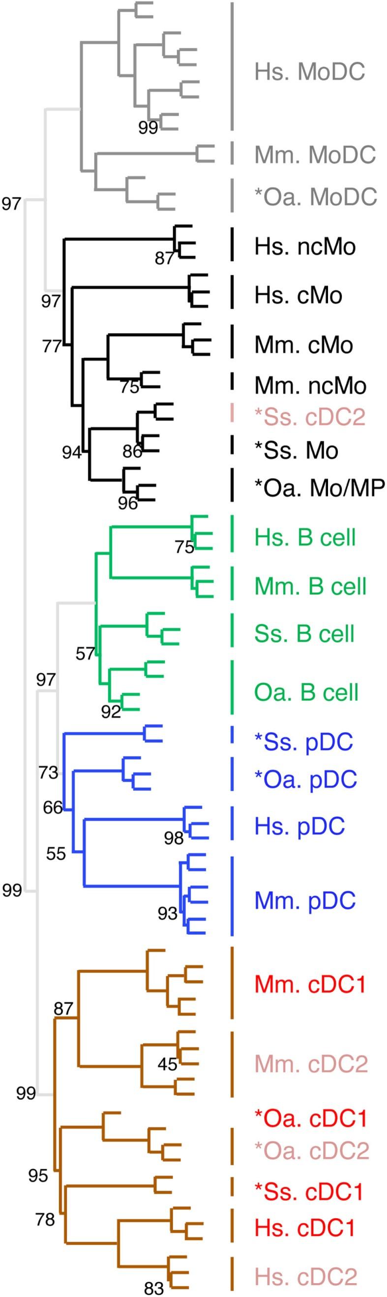 https://cdn.ncbi.nlm.nih.gov/pmc/blobs/ff2b/4473062/c22b7ef19698/fimmu-06-00299-g005.jpg