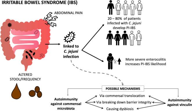 https://cdn.ncbi.nlm.nih.gov/pmc/blobs/ff2c/11064354/09c1303b944f/12929_2024_1033_Fig4_HTML.jpg