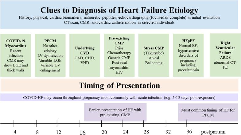 https://cdn.ncbi.nlm.nih.gov/pmc/blobs/ff2d/11198389/082a8887a16d/gr2.jpg