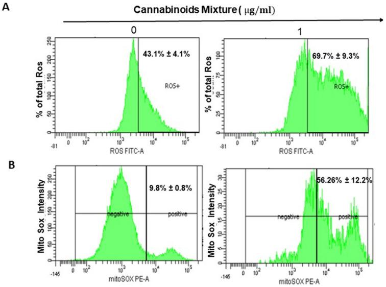 https://cdn.ncbi.nlm.nih.gov/pmc/blobs/ff2e/9562878/a1127d8c1e23/cancers-14-04924-g002a.jpg