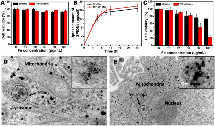 https://cdn.ncbi.nlm.nih.gov/pmc/blobs/ff2f/12071558/287acefce130/d5na00195a-f10.jpg