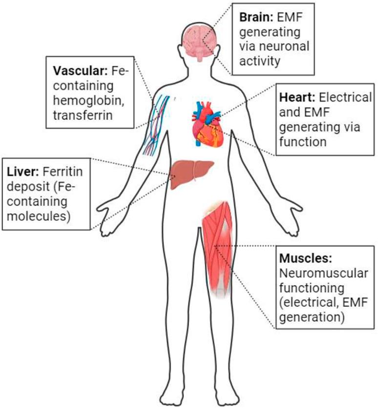 https://cdn.ncbi.nlm.nih.gov/pmc/blobs/ff2f/12071558/ac9cdb5ebddd/d5na00195a-f8.jpg