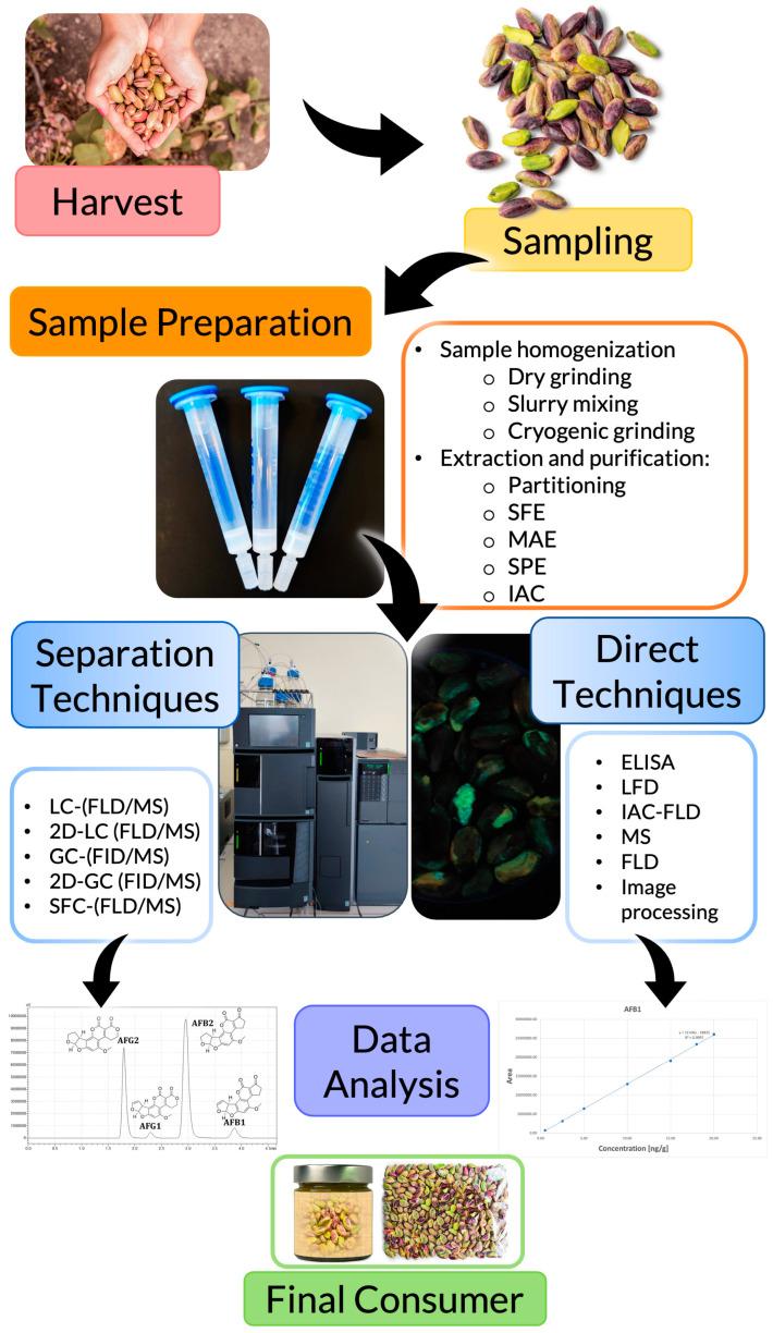 https://cdn.ncbi.nlm.nih.gov/pmc/blobs/ff2f/9914313/e1da838dfcdf/foods-12-00527-g002.jpg