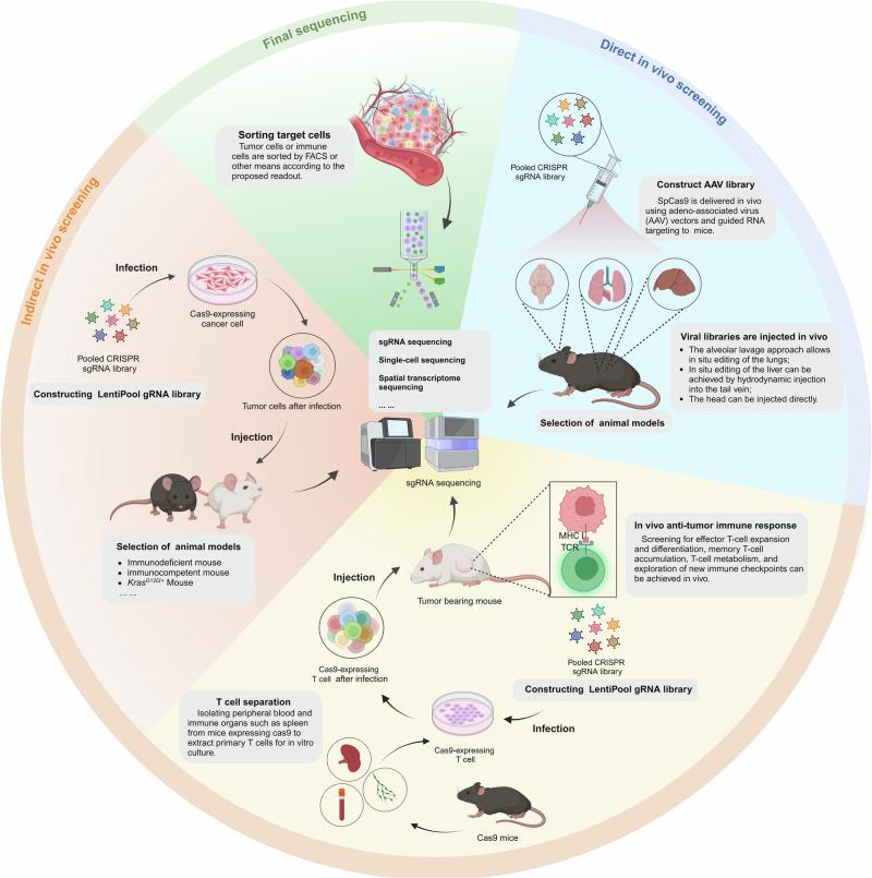 https://cdn.ncbi.nlm.nih.gov/pmc/blobs/ff32/11810799/8b247cf929a7/41388_2025_3273_Fig2_HTML.jpg