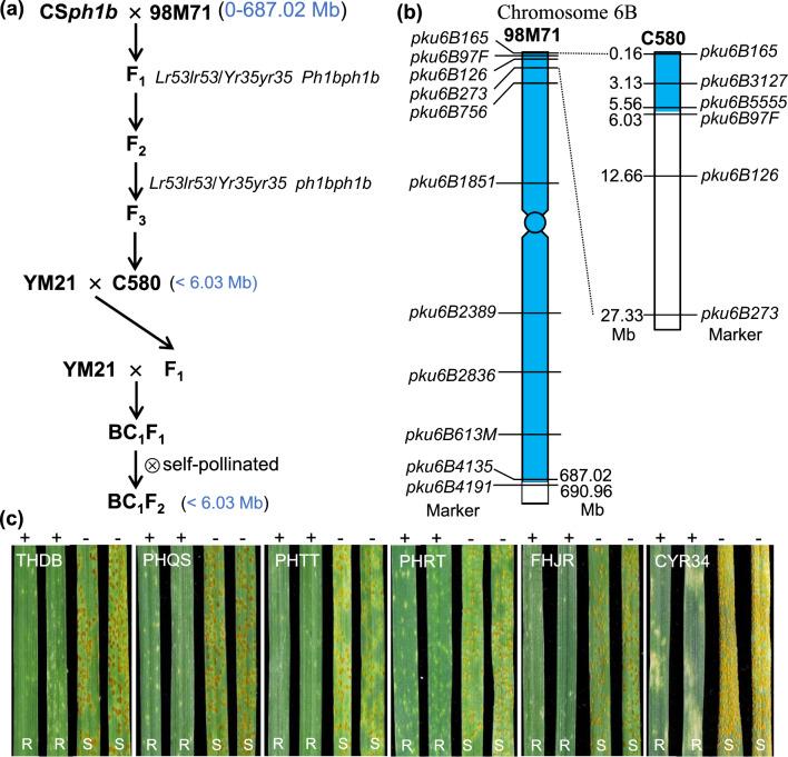 https://cdn.ncbi.nlm.nih.gov/pmc/blobs/ff33/11056342/5493640bfff4/122_2024_4616_Fig5_HTML.jpg