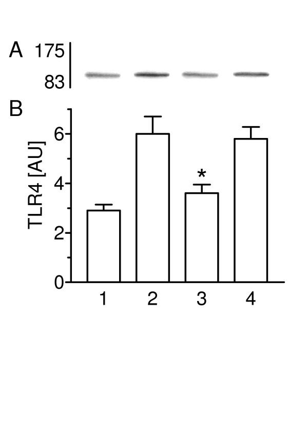 https://cdn.ncbi.nlm.nih.gov/pmc/blobs/ff34/1180473/3cd186ee112b/1465-9921-6-51-4.jpg