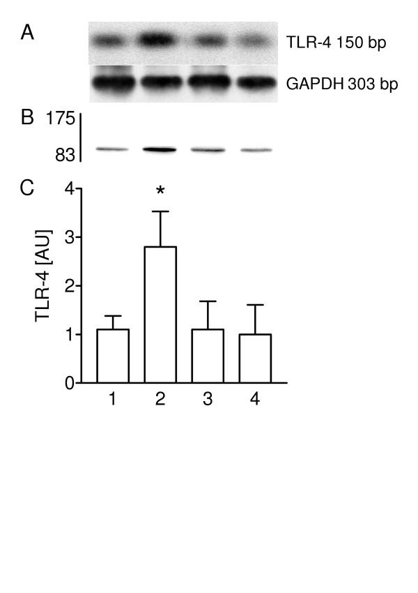 https://cdn.ncbi.nlm.nih.gov/pmc/blobs/ff34/1180473/c543e1c81c1b/1465-9921-6-51-6.jpg