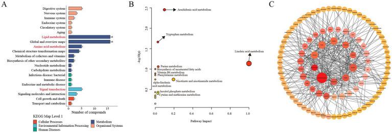 https://cdn.ncbi.nlm.nih.gov/pmc/blobs/ff35/11959509/24ea12cf8261/fvets-12-1528530-g006.jpg