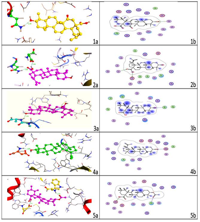https://cdn.ncbi.nlm.nih.gov/pmc/blobs/ff37/11238477/578208e68a14/12879_2024_9578_Fig6_HTML.jpg