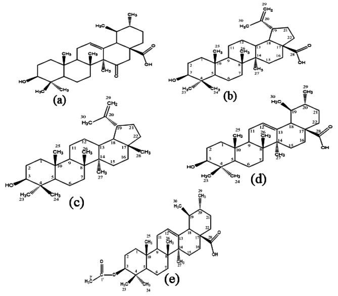 https://cdn.ncbi.nlm.nih.gov/pmc/blobs/ff37/11238477/f89519cd2d79/12879_2024_9578_Fig5_HTML.jpg