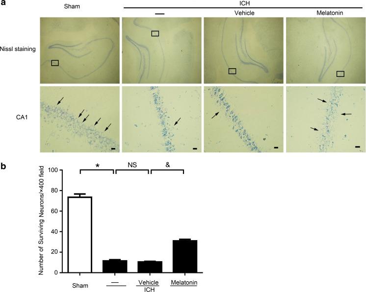 https://cdn.ncbi.nlm.nih.gov/pmc/blobs/ff37/5750335/22b7c3358d45/12975_2017_559_Fig8_HTML.jpg