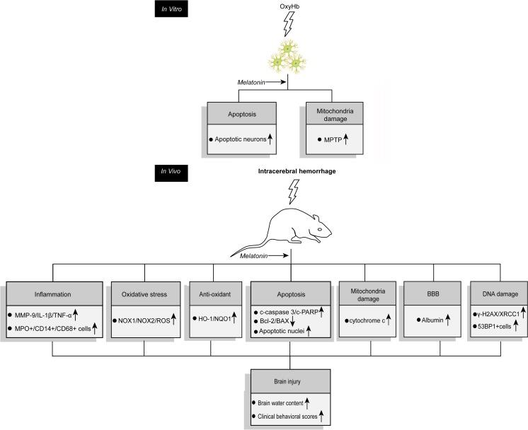 https://cdn.ncbi.nlm.nih.gov/pmc/blobs/ff37/5750335/85afa8d8ad55/12975_2017_559_Fig12_HTML.jpg