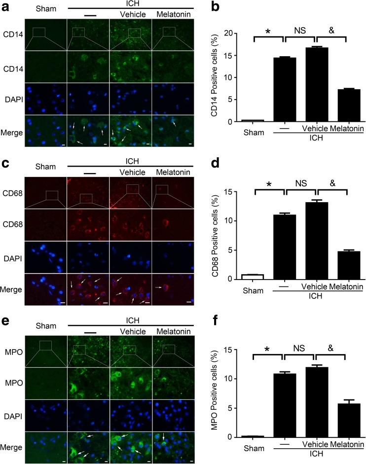 https://cdn.ncbi.nlm.nih.gov/pmc/blobs/ff37/5750335/c3b6a16232f6/12975_2017_559_Fig5_HTML.jpg