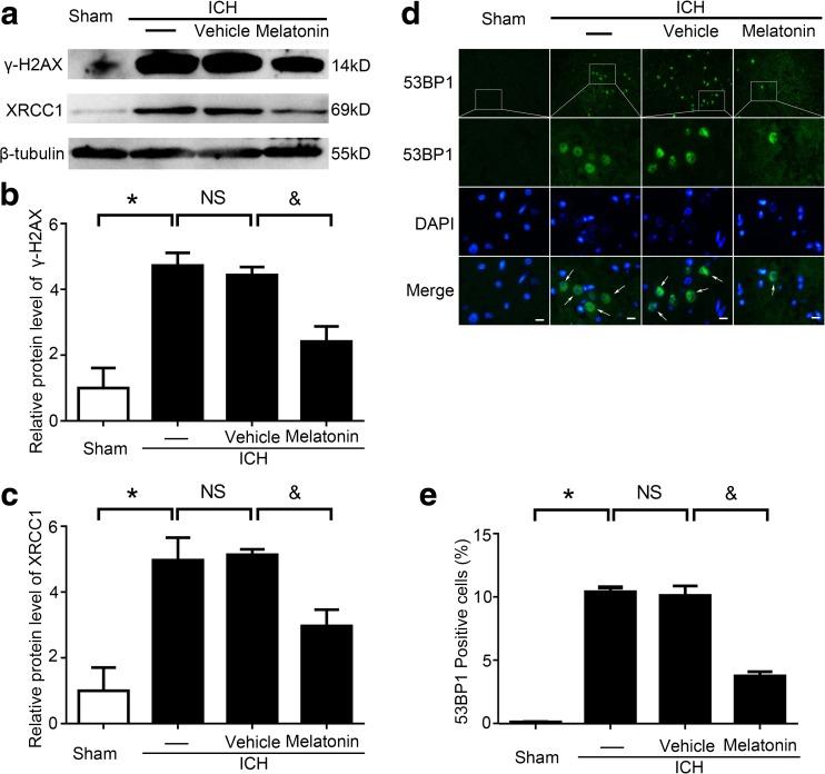 https://cdn.ncbi.nlm.nih.gov/pmc/blobs/ff37/5750335/f8f76d330482/12975_2017_559_Fig6_HTML.jpg