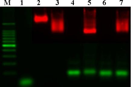 https://cdn.ncbi.nlm.nih.gov/pmc/blobs/ff39/3274159/5bbb938f772e/sensors-09-05590f3.jpg