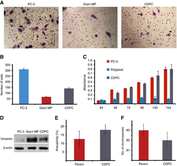 https://cdn.ncbi.nlm.nih.gov/pmc/blobs/ff39/5418452/2402104a1adb/bjc201778f4.jpg
