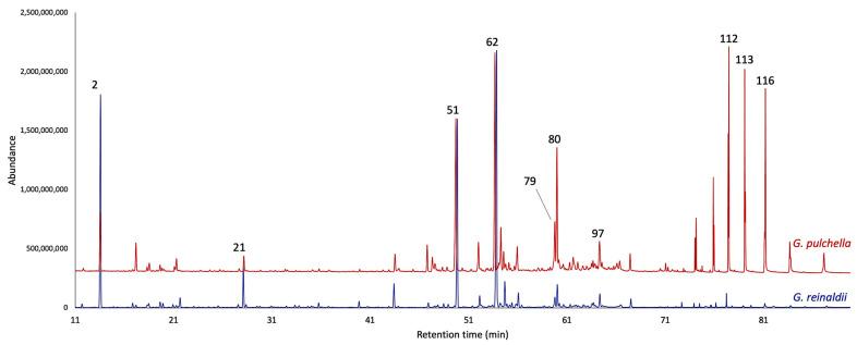 https://cdn.ncbi.nlm.nih.gov/pmc/blobs/ff3a/11677951/2806f8496a01/plants-13-03543-g001.jpg
