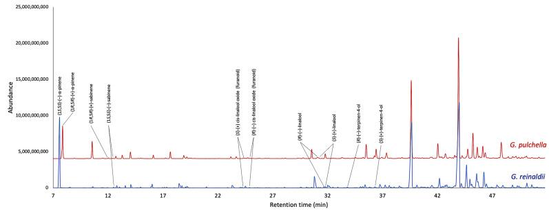 https://cdn.ncbi.nlm.nih.gov/pmc/blobs/ff3a/11677951/4571af460abd/plants-13-03543-g004.jpg