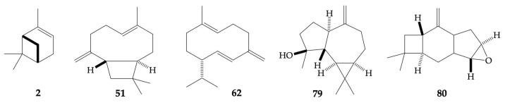 https://cdn.ncbi.nlm.nih.gov/pmc/blobs/ff3a/11677951/6e7b748b6fdd/plants-13-03543-g007.jpg