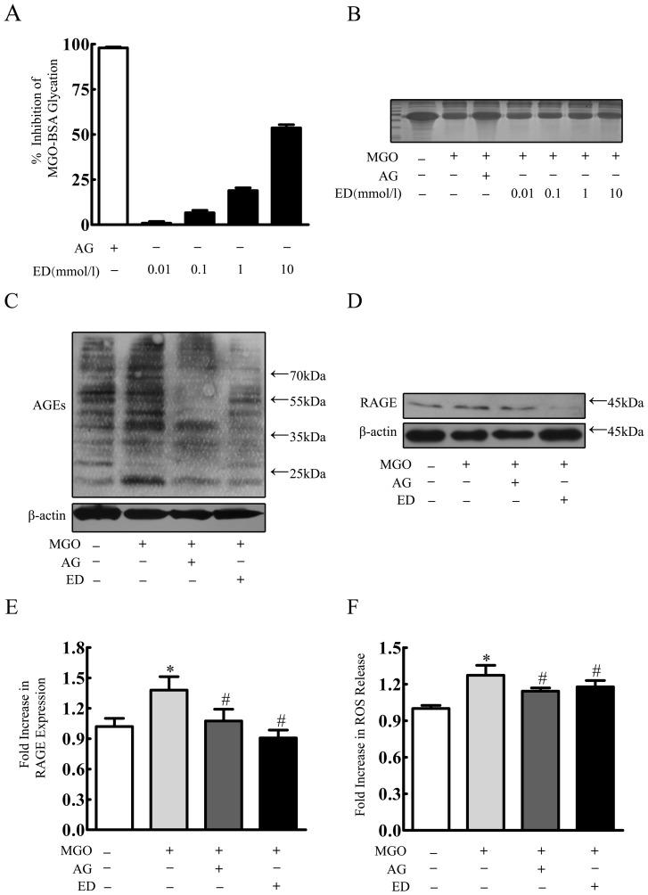 https://cdn.ncbi.nlm.nih.gov/pmc/blobs/ff3a/3786889/f7bd2a5aa403/pone.0076025.g003.jpg