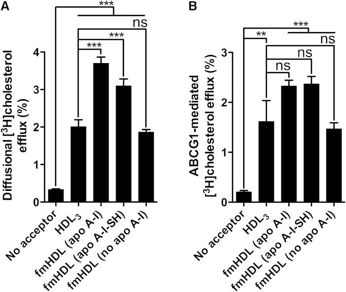 https://cdn.ncbi.nlm.nih.gov/pmc/blobs/ff3c/4409287/a97685a5eae8/972fig3.jpg
