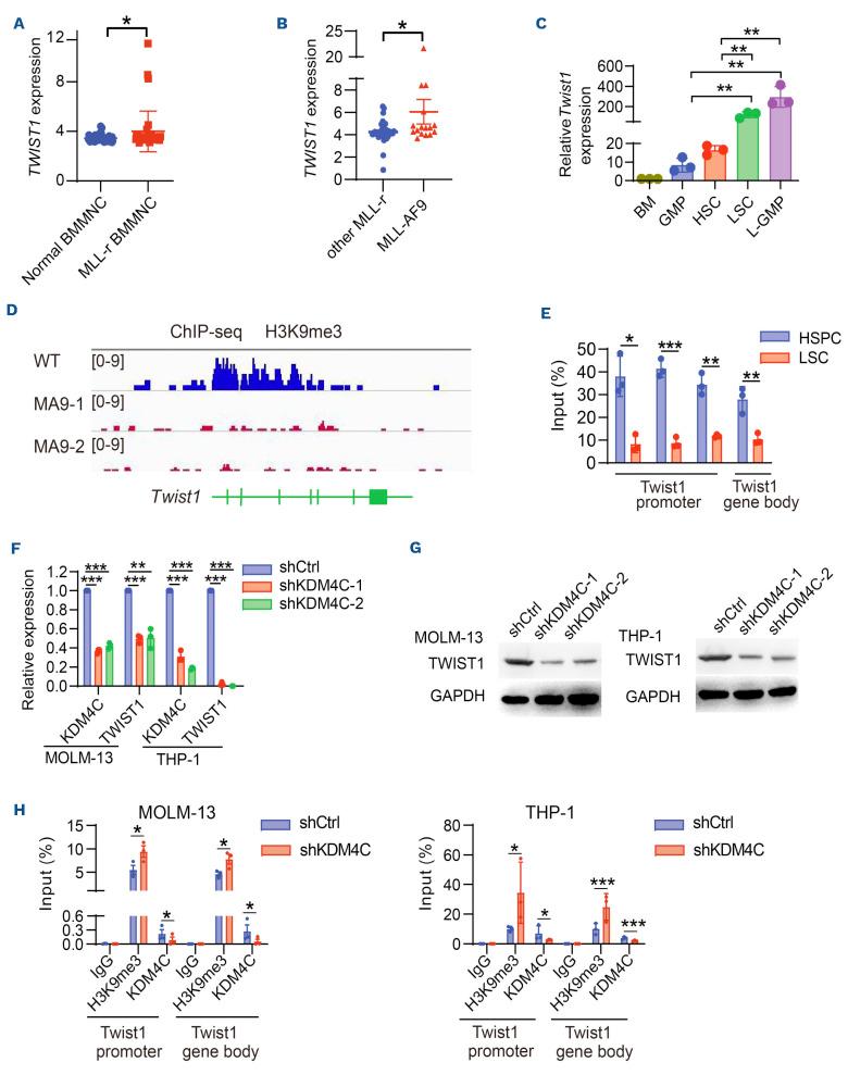 https://cdn.ncbi.nlm.nih.gov/pmc/blobs/ff3d/10772510/5f9d90b22c8e/10984.fig1.jpg