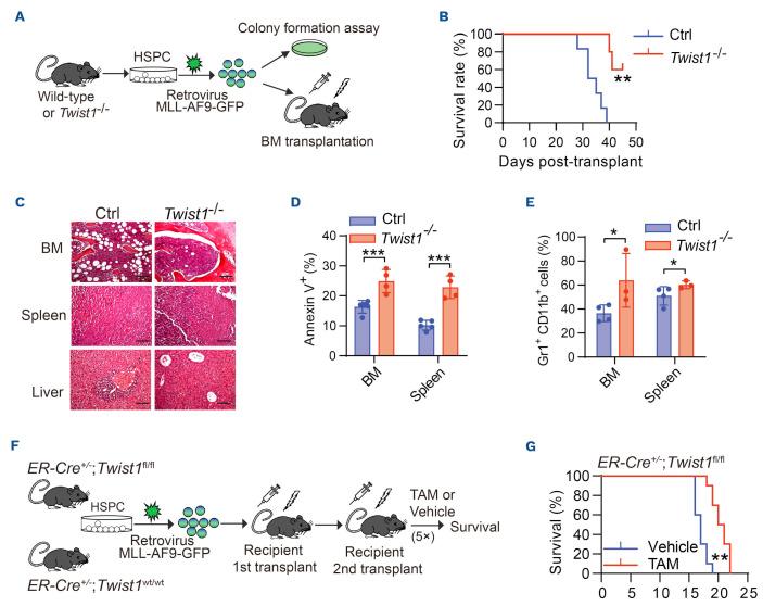 https://cdn.ncbi.nlm.nih.gov/pmc/blobs/ff3d/10772510/64e646f866b3/10984.fig2.jpg