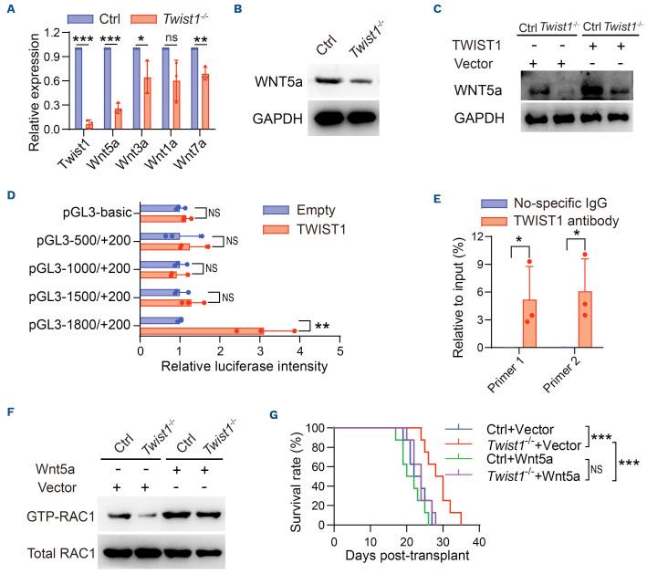https://cdn.ncbi.nlm.nih.gov/pmc/blobs/ff3d/10772510/846e0da7f0c6/10984.fig6.jpg