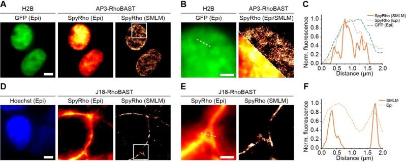 https://cdn.ncbi.nlm.nih.gov/pmc/blobs/ff3d/11627133/e129faeb1e2a/ANIE-63-e202412810-g005.jpg