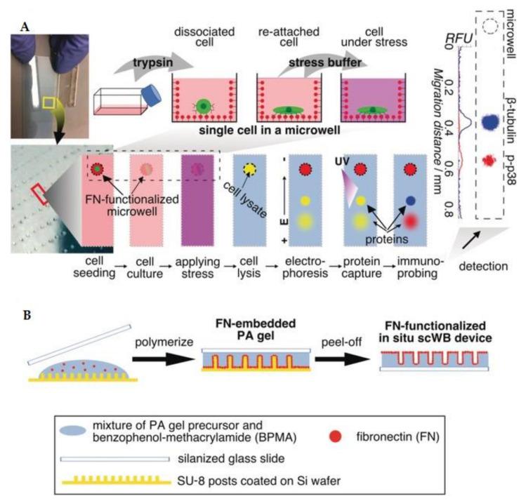 https://cdn.ncbi.nlm.nih.gov/pmc/blobs/ff3d/8869497/e9507272f022/biosensors-12-00058-g008.jpg