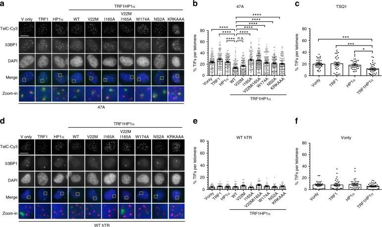 https://cdn.ncbi.nlm.nih.gov/pmc/blobs/ff3e/6123478/21bd4a4c761c/41467_2018_5840_Fig4_HTML.jpg
