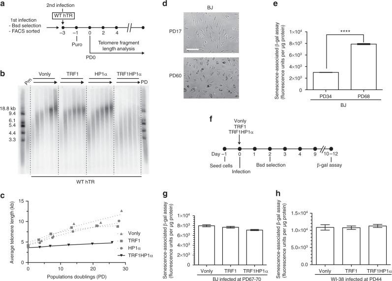 https://cdn.ncbi.nlm.nih.gov/pmc/blobs/ff3e/6123478/4705be0694f7/41467_2018_5840_Fig2_HTML.jpg