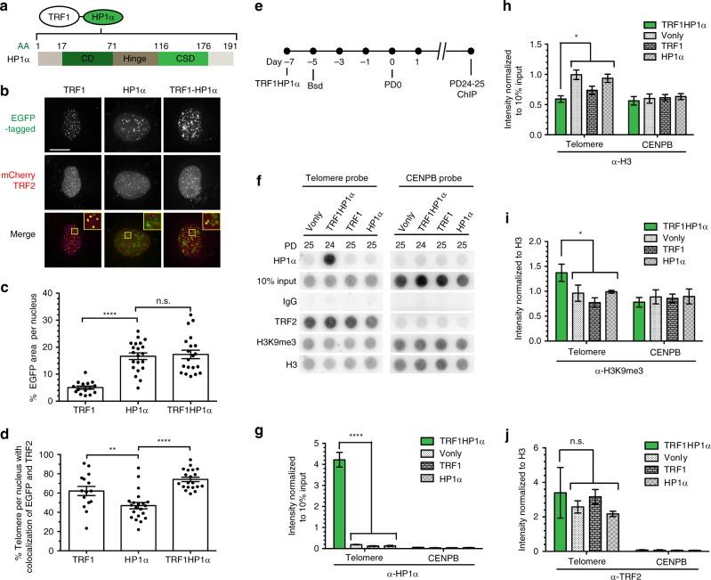 https://cdn.ncbi.nlm.nih.gov/pmc/blobs/ff3e/6123478/67057cbcdfe3/41467_2018_5840_Fig1_HTML.jpg