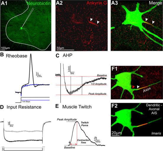 https://cdn.ncbi.nlm.nih.gov/pmc/blobs/ff3f/8604372/6732c508f435/pone.0259918.g002.jpg