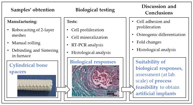 https://cdn.ncbi.nlm.nih.gov/pmc/blobs/ff41/7321431/4427d438aa4a/materials-13-02497-g002.jpg