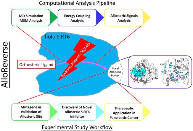 https://cdn.ncbi.nlm.nih.gov/pmc/blobs/ff41/8897208/7be42096efaa/ga1.jpg