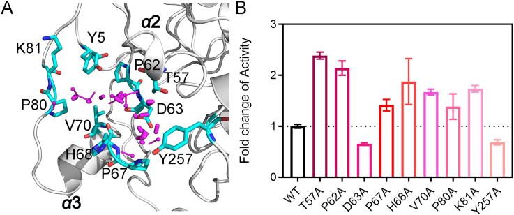 https://cdn.ncbi.nlm.nih.gov/pmc/blobs/ff41/8897208/dc7732a90c22/gr2.jpg