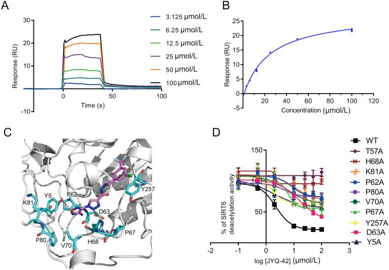https://cdn.ncbi.nlm.nih.gov/pmc/blobs/ff41/8897208/e1ad3ab5d765/gr4.jpg
