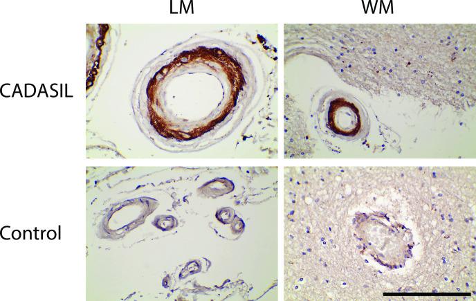 https://cdn.ncbi.nlm.nih.gov/pmc/blobs/ff41/9907840/d1386b5f7df0/pone.0281094.g001.jpg