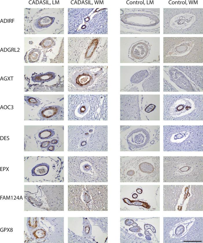 https://cdn.ncbi.nlm.nih.gov/pmc/blobs/ff41/9907840/d44352fa0f5b/pone.0281094.g002.jpg