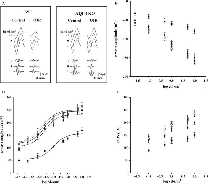 https://cdn.ncbi.nlm.nih.gov/pmc/blobs/ff44/5742711/140613469c39/JCMM-22-613-g005.jpg