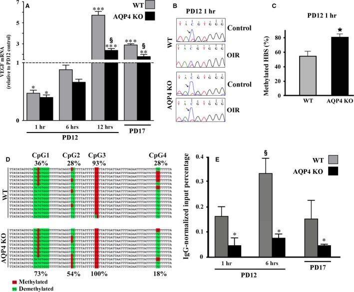 https://cdn.ncbi.nlm.nih.gov/pmc/blobs/ff44/5742711/9221009d1219/JCMM-22-613-g007.jpg