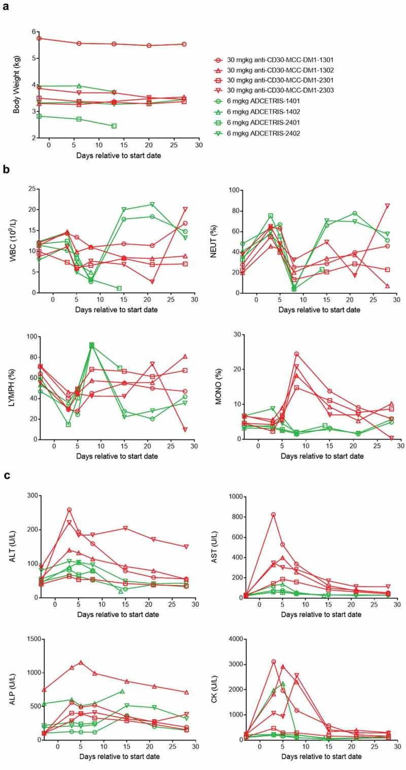 https://cdn.ncbi.nlm.nih.gov/pmc/blobs/ff46/6748589/ac52b82bd833/kmab-11-06-1618674-g008.jpg