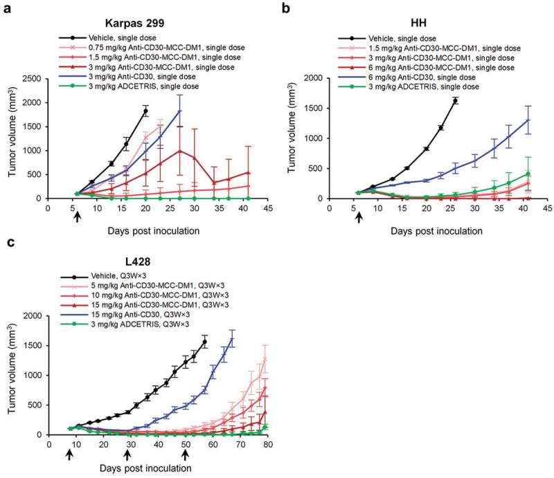 https://cdn.ncbi.nlm.nih.gov/pmc/blobs/ff46/6748589/c231df20e8e6/kmab-11-06-1618674-g006.jpg