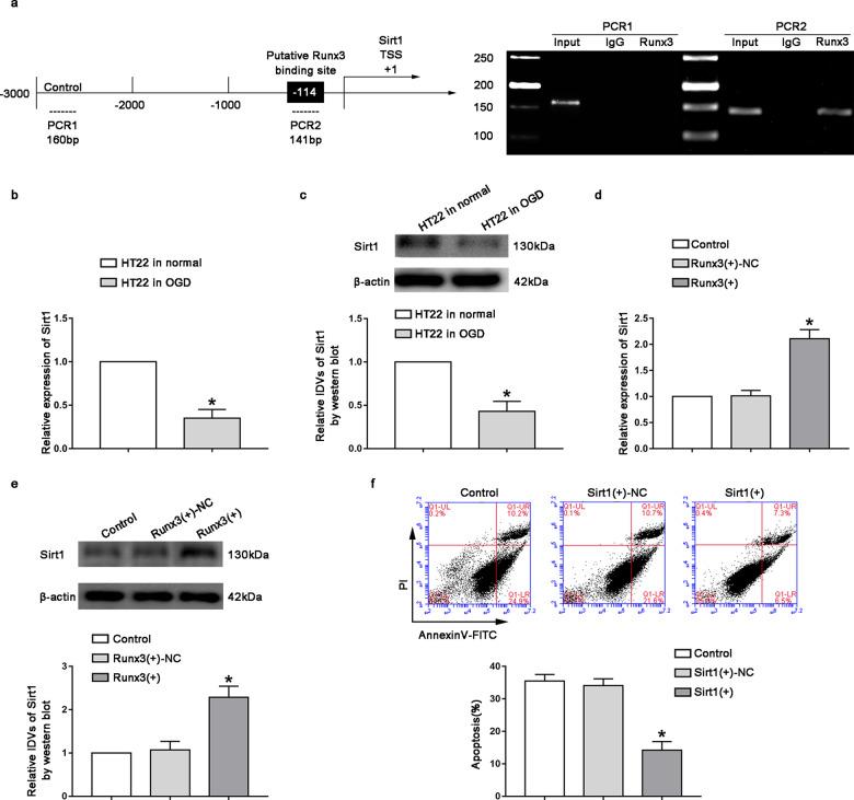 https://cdn.ncbi.nlm.nih.gov/pmc/blobs/ff46/8164632/4a27faa56a70/41420_2021_507_Fig4_HTML.jpg