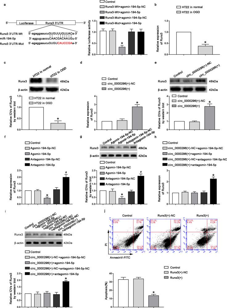 https://cdn.ncbi.nlm.nih.gov/pmc/blobs/ff46/8164632/7c3178159958/41420_2021_507_Fig3_HTML.jpg